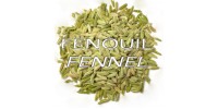 FENNEL (Foeniculum vulgare) whole seeds